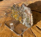 Seymchan Pallasite Meteorite Slice 40 8 Grams
