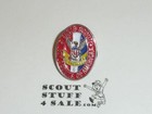 Eagle Scout Enameled Lapel Pin  1  Tall  From The 1980s - Great Eagle Scout Gift