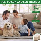Vamoose Natural Rodent Repellent - 10 Pack Peppermint Oil - Mice   Rat Deterrent