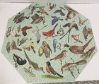 Vintage Springbok Octagon Okta State Birds Jigsaw Puzzle Complete 1973