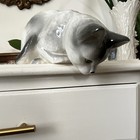 Vintage Porcelain Cat Figurine 10    White Gray Green Eyes Ceramic Collectible