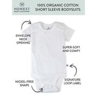 Honest Baby Clothing 3 Pack Short Sleeve White Bodysuits New Various Size Unisex
