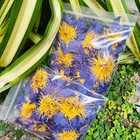Blue Lotus Flower  nymphaea Caerulea  Dried Organic Flowers Egyptian Tea smoke