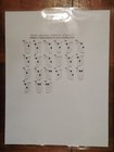 Bass Guitar Power Chords Chart   Laminated   Free Shipping