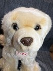 Fao Schwarz Golden Retriever Plush Stuffed Puppy Dog Toys R Us 2015 20  Tan Gold