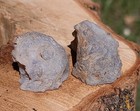 Natural Agate Geode Pair  Beautiful Polished Small Brazilian Agate Geode 48g