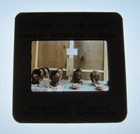 Orig Dawn Of The Dead 35mm Studio Stamped U s  Press Kit Slide Prosthetics Masks