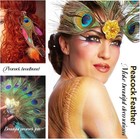 10pcs Real Natural Peacock Eye Feathers 10-12 Inch For Diy Craft Flo