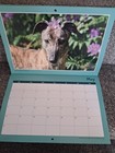 2027 Greyhound Charity Calendar A4 Size