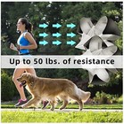 Running Parachute 56 Inch Speed Resistance Chute Pack Of 2 Adult Sprint Training
