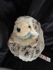 Douglas Plush Toy Spunky Hedgehog Stuffed Animal Soft Brown Lovey Mask 5    Rare