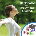 Inbound Vibes High Fidelity Earplugs Small Reusable Silicon Earplugs For Sleepin