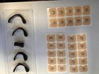 Muvex Nasal Dilator Kit 30 Days Supply 60 Pieces