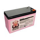 Charity Battery 12v 7ah Wide Terminal Apc Es500 Rbc2 Be500u Back-ups F2