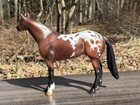 Breyer Horse Classic Freedom Calvin Bay Appaloosa Special 500 Edition