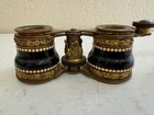 Antique Likely French Opera Glasses Binoculars W  Enamel Beaded   Foliage Dec 