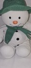Eden Raymond Briggs The Snowman 15    Stuffed Plush Doll W  Green Hat   Scarf