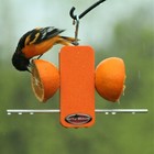Kettle Moraine Recycled Plastic Single Oriole Orange Fruit Stick Feeder  8337