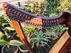 22 String Harp Solid Rosewood Extra Strings   Carrying Case Great For Teenagers