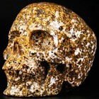5 0  Ocean Jasper Carved Crystal Skull  Super Realistic  Crystal Healing