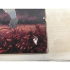 Grave Of The Fireflies Laserdisc Widescreen Edition Studio Ghibli Anime Id2231ct
