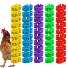50 100pcs Leg Bands Plastic Chicken Pheasant Poultry Duck Bird Leg Rings Tags