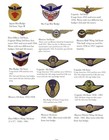 Aviation Insignia Of The United States Of America  15th Edition