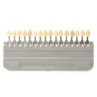 For Vit Easy Shade Guide A1-d4 16 Colors Durable Resin Tooth Teeth Dental Et
