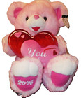 Dan Dee Plush Teddy Bear Pink 2006 Valentine  you   Me  Heart Collectible 20 