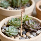 6 Pack 13  Copper Garden Stakes electroculture Copper Gardening Antenna  Electro