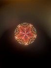 Kaleidoscope