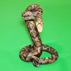 Hand Carved And Painted Diamondback Rattlesnake Statue     
