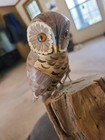 Vtg Hand Carved Painted Wood Owl Family Figurine Sculpture On Driftwood Folk Art