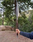 Custom Handmade Carbon Steel Blade Viking Spear   Survival Spear   Hunting Spear