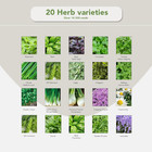 20 Herb Seeds Variety Pack - 14 000 Non Gmo Herb Seeds For Planting - Garden See