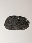 Beautiful Meteorite Nwa 13788  Lunar Melt Breccia 1 723 Gram Slice With Coa Moon