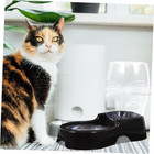 Pet Dog Cat Waterer Automatic Dispenser  Dog Cat Drink Water Gravity Large Bowl