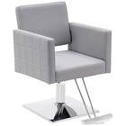 Barberpub Styling Salon Chair For Hair Stylist  Hydraulic Home Salon Chair 8821
