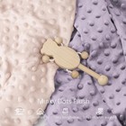 2pack Changing Pad Covers Super Soft Minky Dots Plush Changing Table Covers 3   