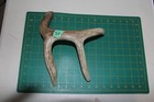 Xxlarge Branched Deer Antler Dog Chew  76   Bone Chews Deer Elk Treats Deer 1018
