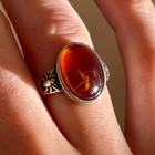 Spider Ring Fossil Amber   Adjustable Silver 925 Ring   99 Million Year Old