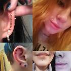 40pcs 316l Steel Piercing Kit Nose Hoop Lip Ring Tongue Eyebrow Tragus Studs 16g