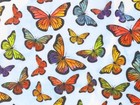 Monarch Butterfly Design Tissue Paper Sheets Choose Size   Package Amount