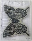 Stampin  Up   Swallowtail Butterfly Stamp