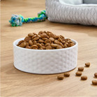 Pure Balance Wild   Free Salmon   Pea Recipe Dry Dog Food  Grain-free  11 Lbs