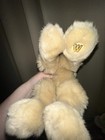 Webkinz Signature Timber Wolf Plush Ganz No Code Retired