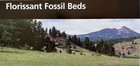 New Florissant Fossil Beds  National Park Service Unigrid Brochure map  Gpo 2023
