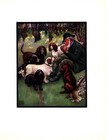 Antique Spaniels Print 1910 Edwin Noble Springer Clumber Cocker Spaniel 6420g