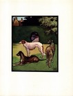 Antique Borzoi Great Dane Irish Wolfhound Print 1910 Edwin Noble Art 6791h