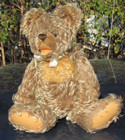 Vintage Steiff Teddy Bear German Curly Mohair Zotty 1950 60 Cute Toy Hermann 15 